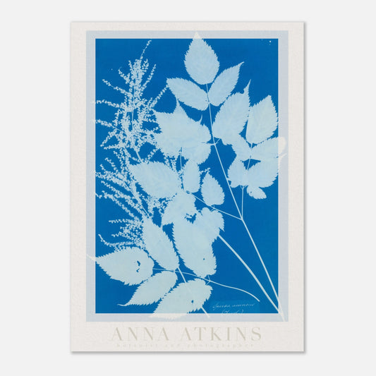 32d8555b-2fbe-47de-85e8-cf1bd5403076