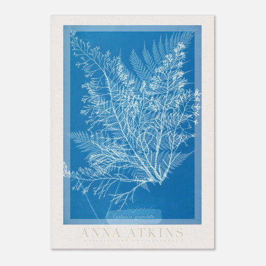 55dcf043-ae6d-4d42-aec2-22b4038cc6c1