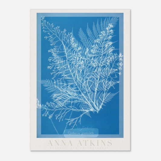 6c2a77ef-ead5-4b6d-9310-5c94f510e672