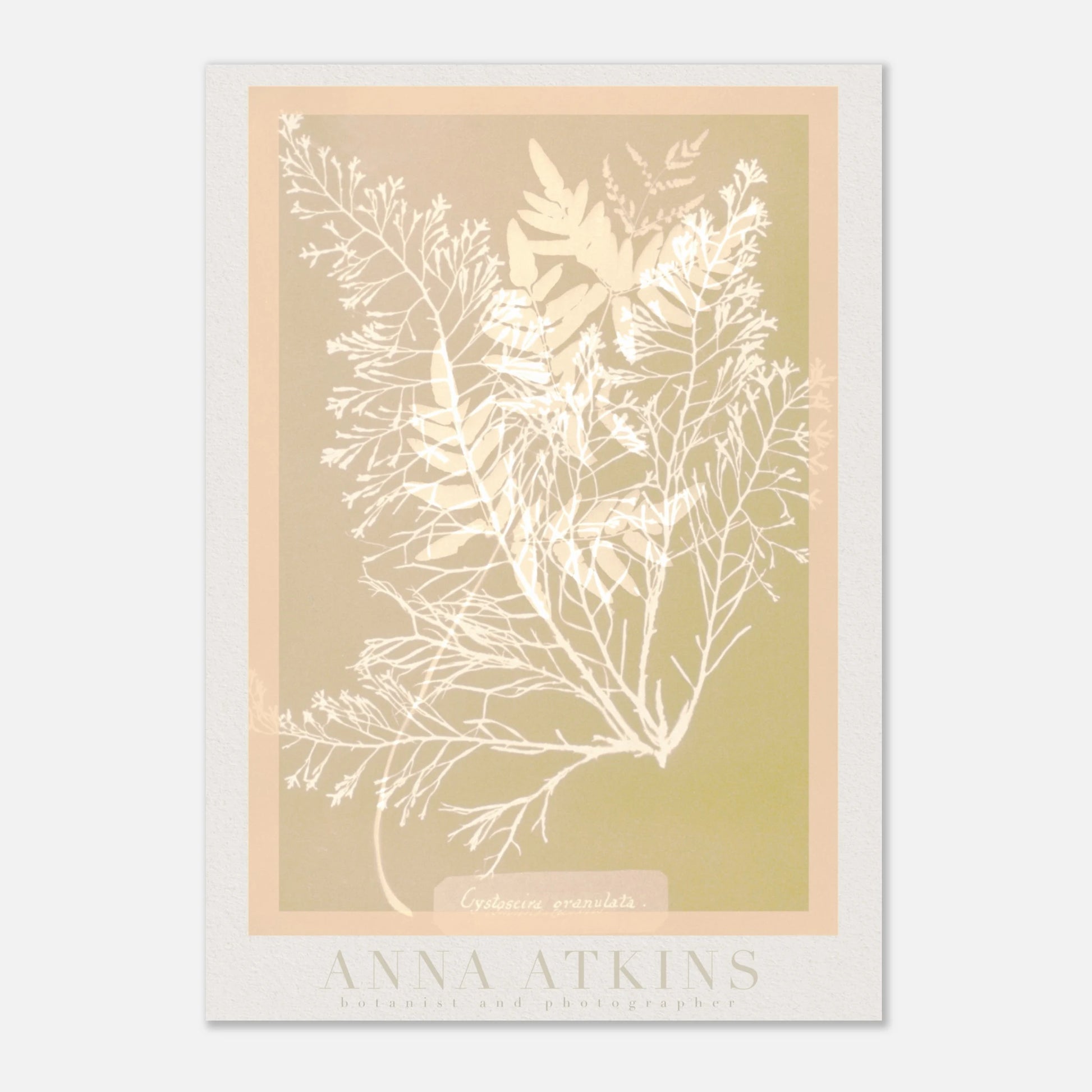 7db1e343-11a0-437a-84ea-e04dbd06e226