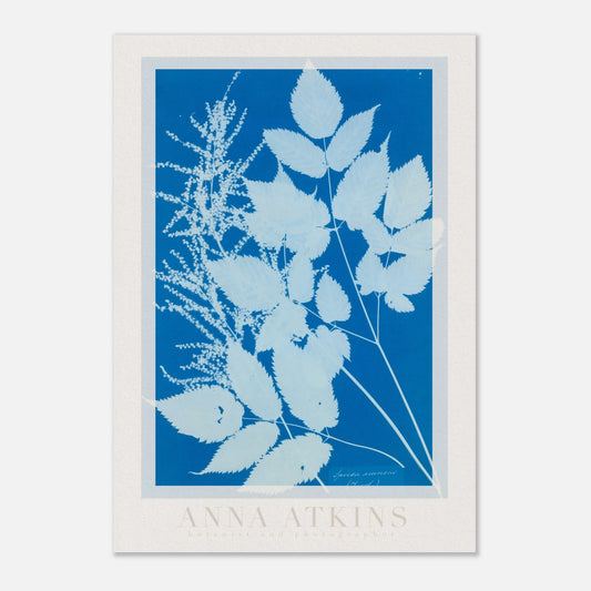 c2e91cc2-fbbd-4d22-abb1-68f5eae25b1a