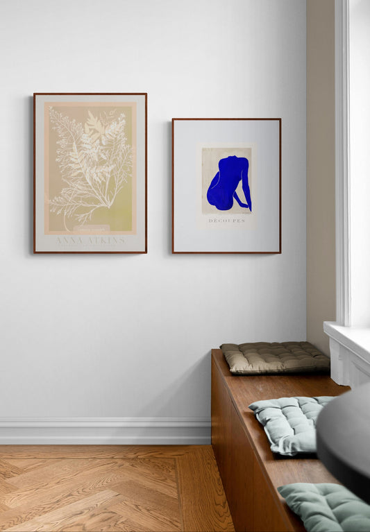 Anna Atkins - Botanical Cyanotypes IV