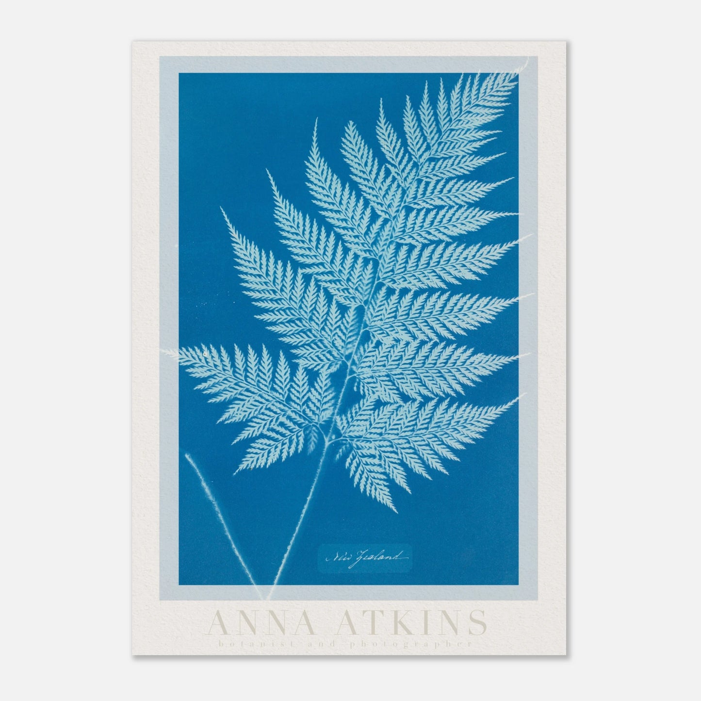 1b675893-2bab-445d-9a02-992491482497