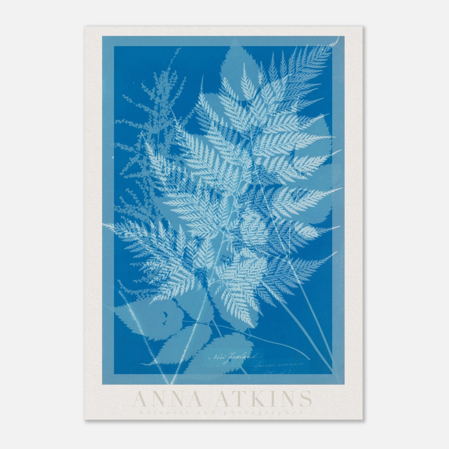 1ba3c479-ced1-4296-9545-6c6d6a4f6003