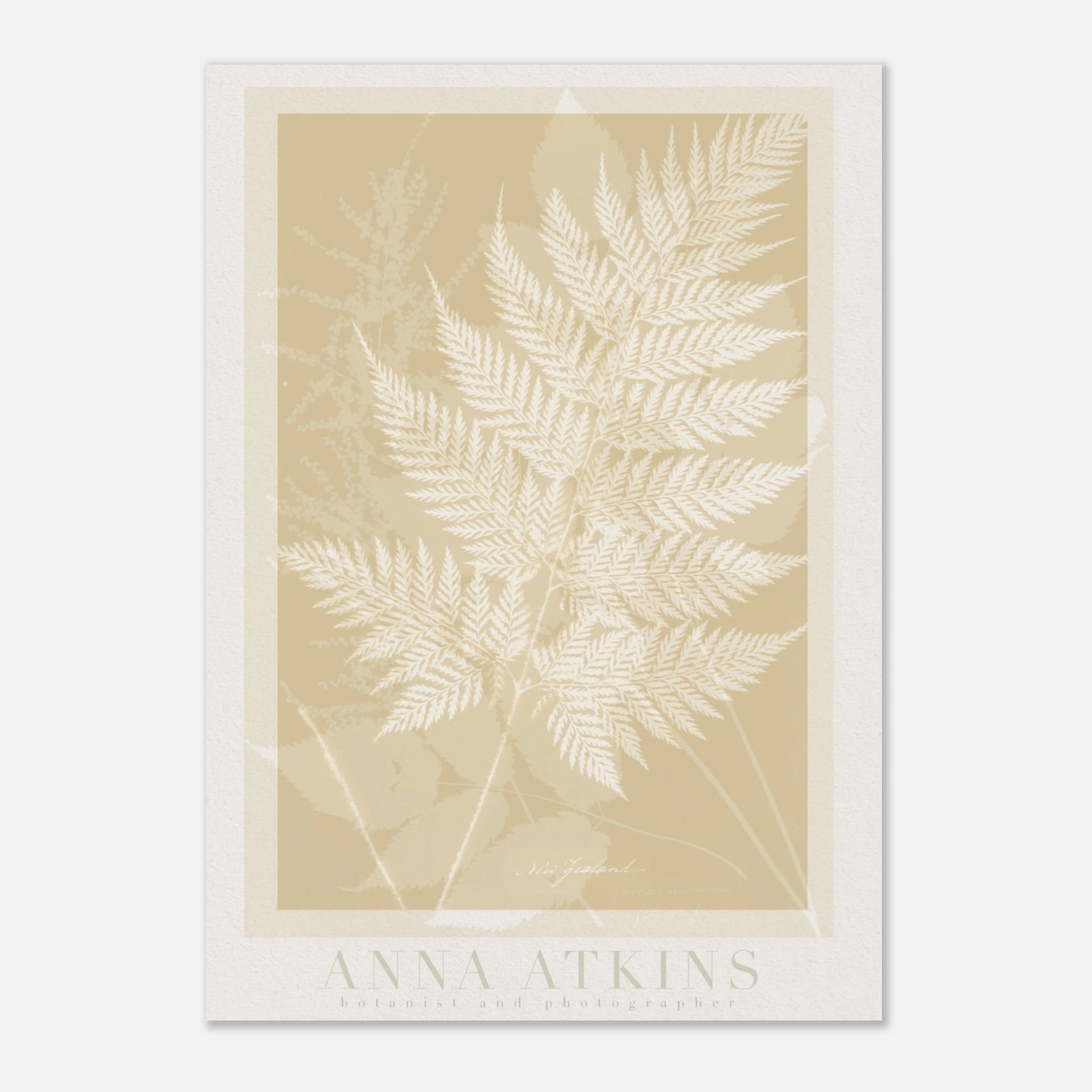 2e86d32f-b6b6-4c8d-b665-77beafd8c76f