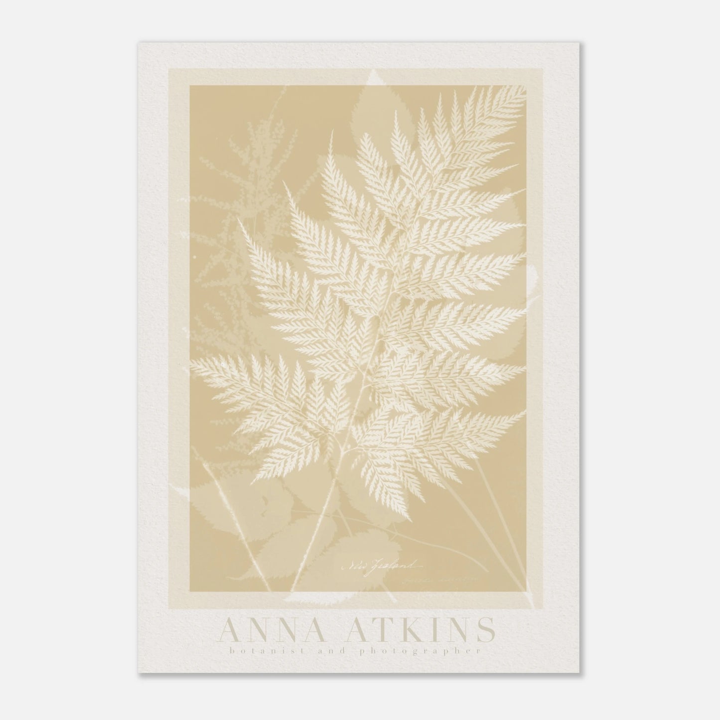 3116f7a1-bd10-4144-9137-3c53f99d5e23