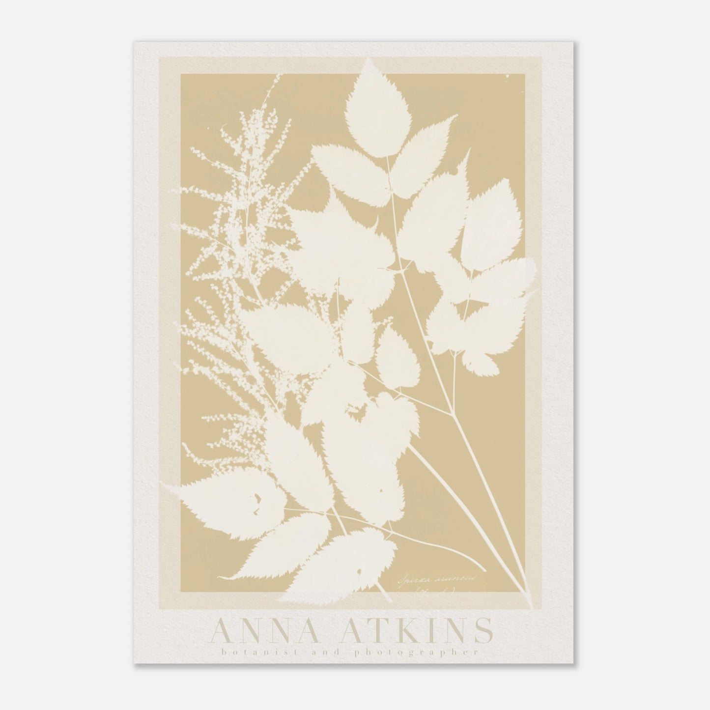 3134dc53-568d-4e29-8c1d-8b2d2adcbc38