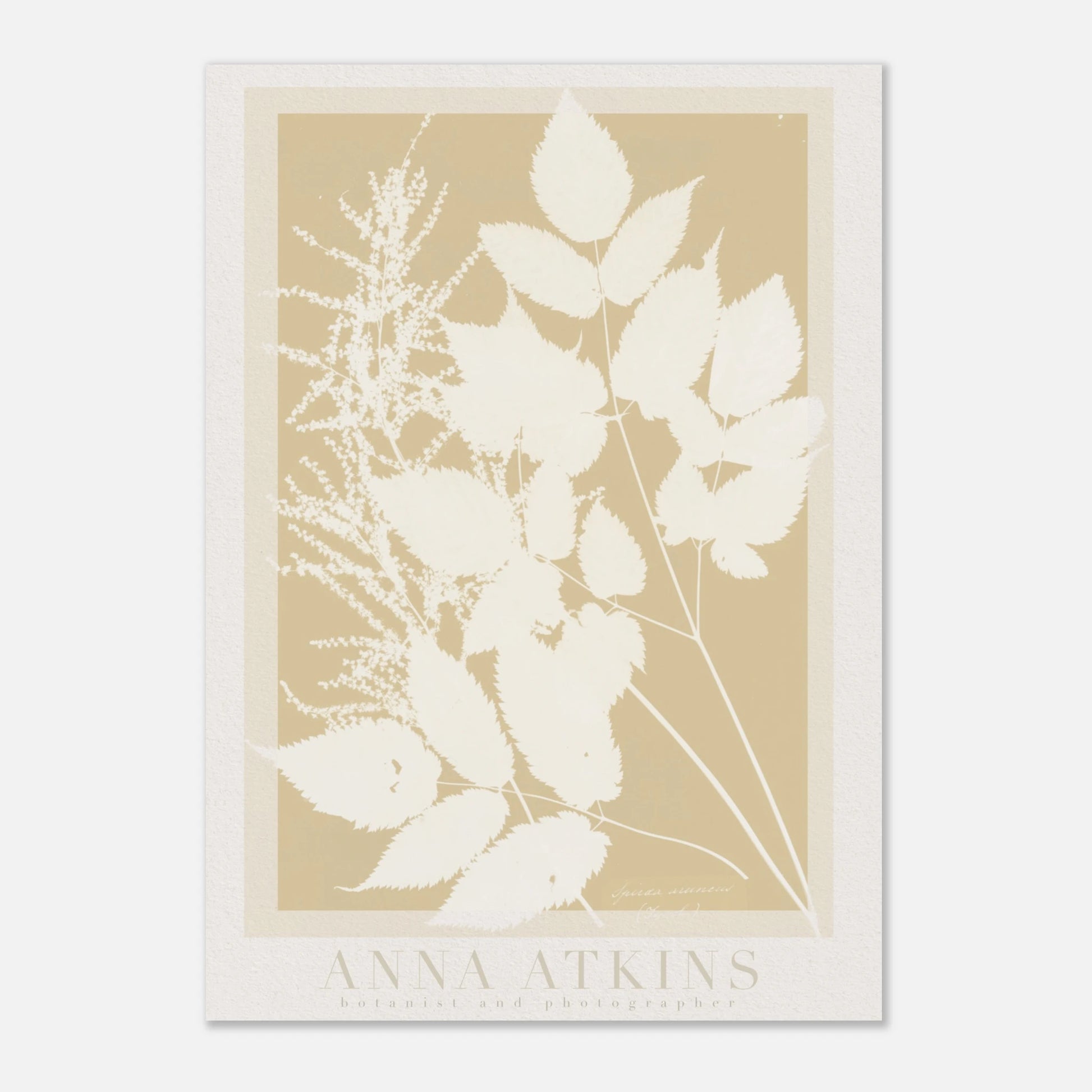 3134dc53-568d-4e29-8c1d-8b2d2adcbc38