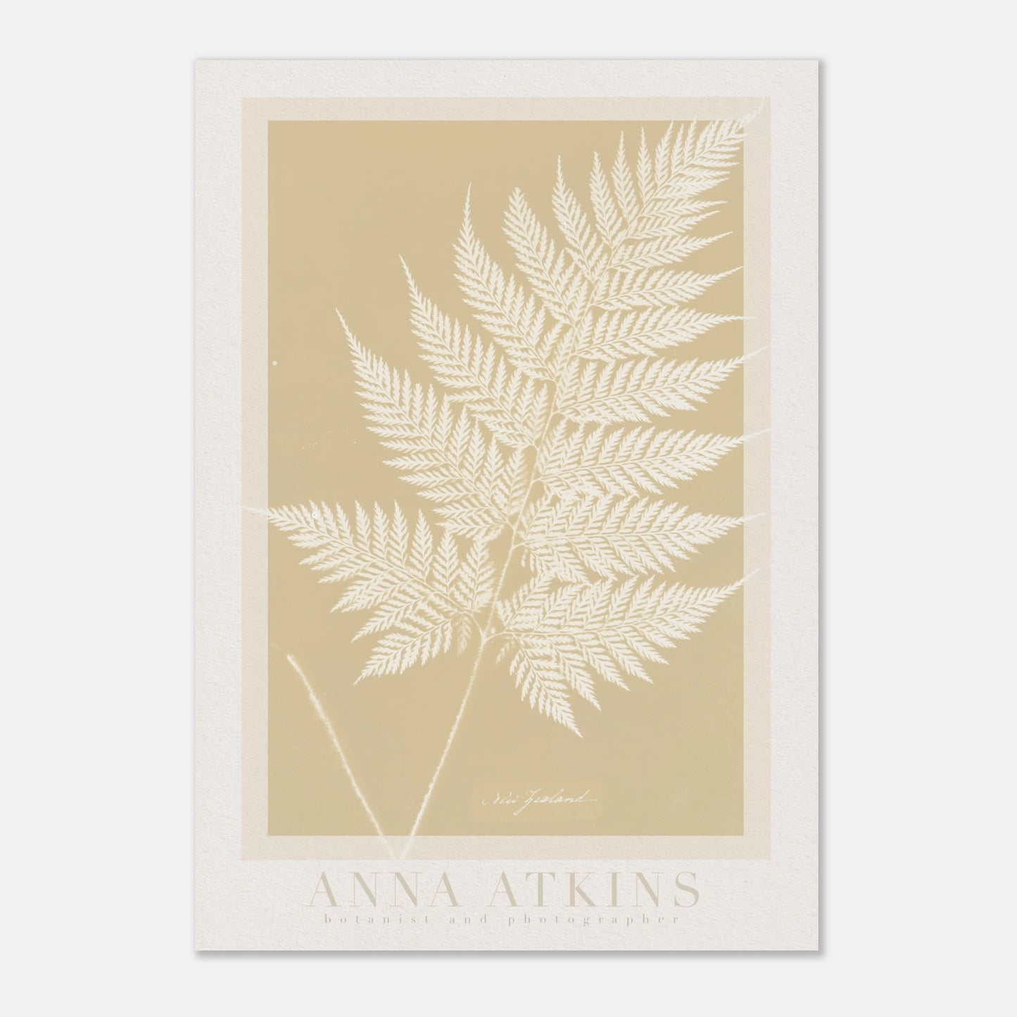 34e81fb8-0fb9-4f7d-976e-f6935c39c831