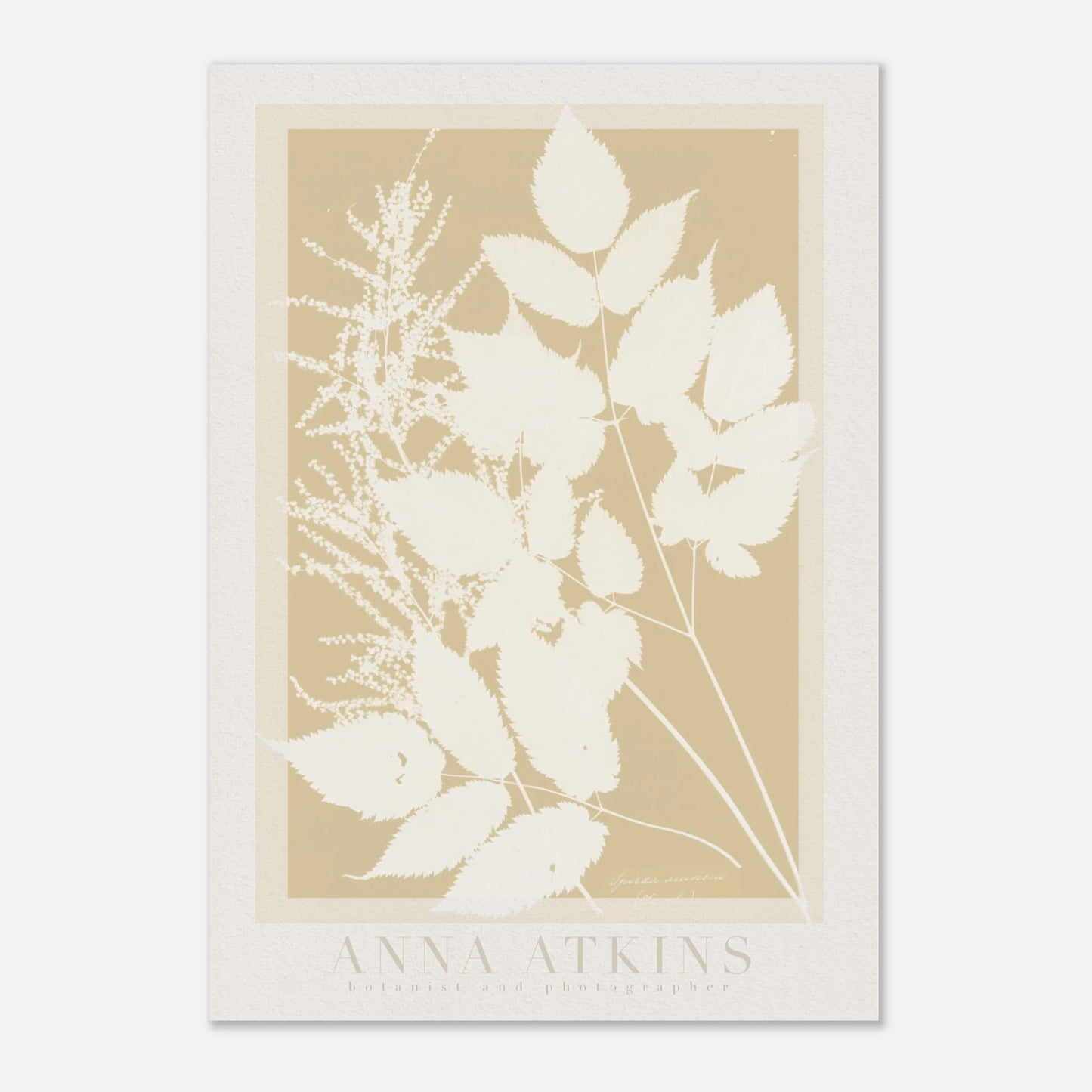 395a2b4e-e755-498b-aafb-aef01d445dbe