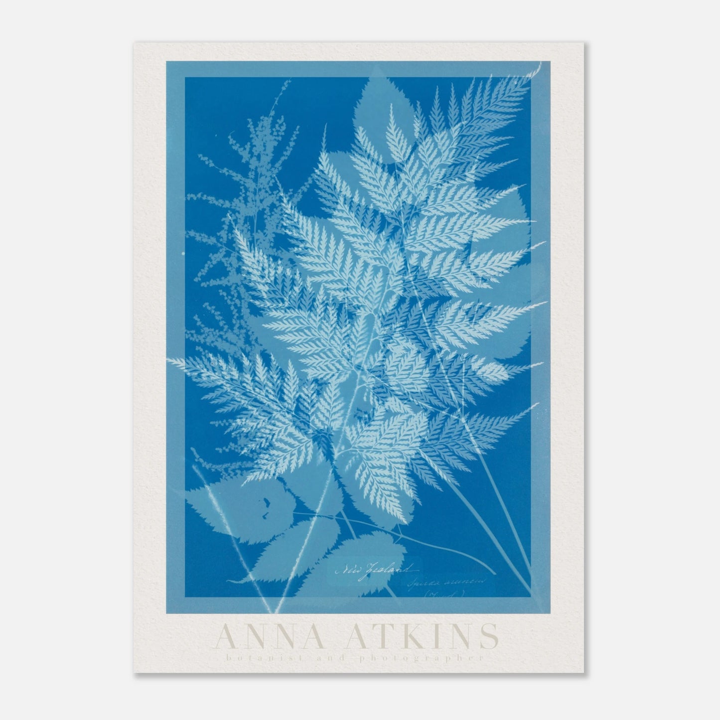 428bba8d-7e08-4390-a00f-66aafbc2040c