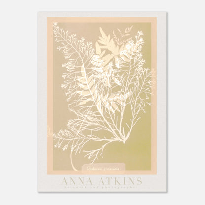 4455b361-3719-4427-9b9f-75483c14a264