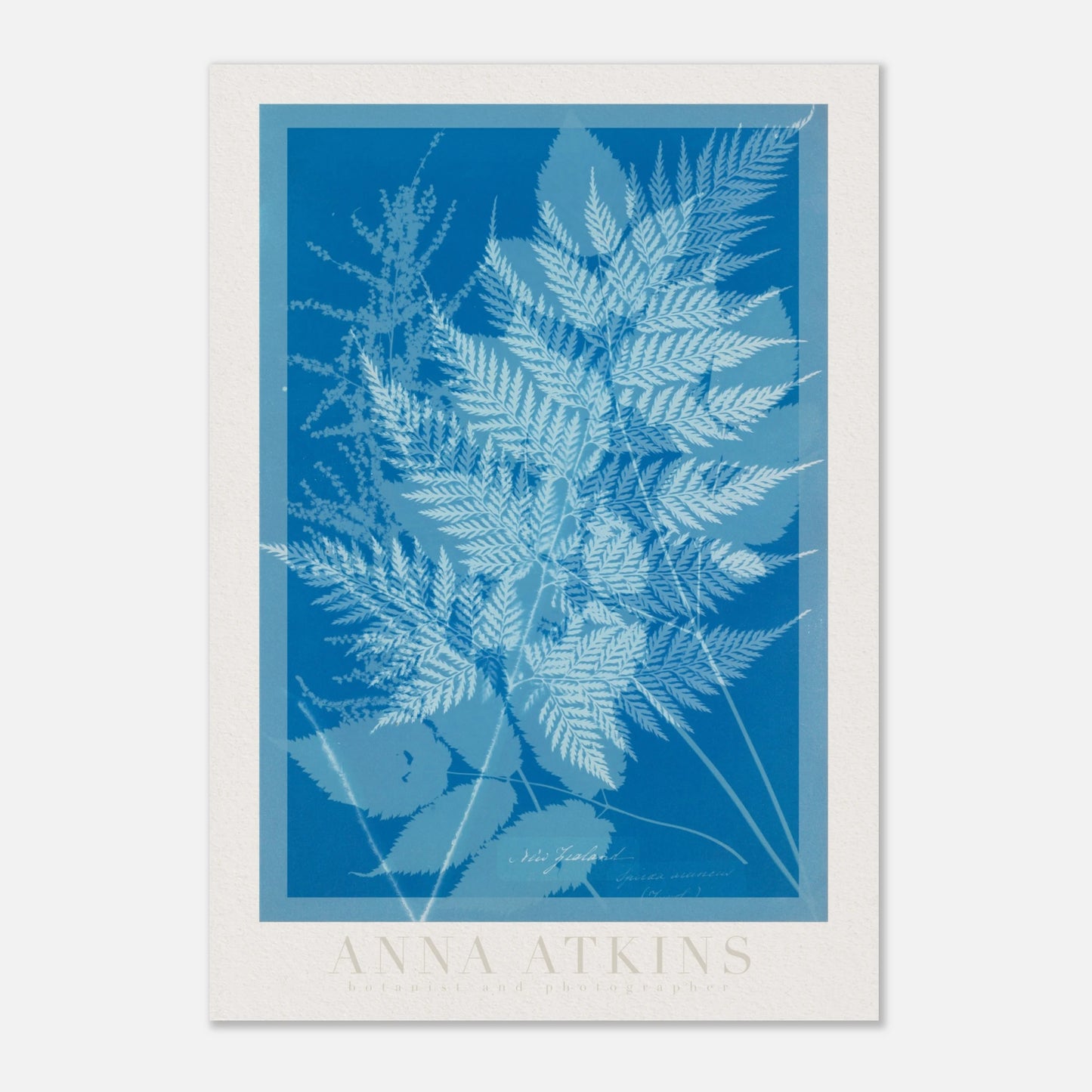 61919272-d62a-432b-8014-f930576cb7aa