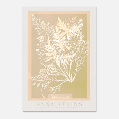 675b3178-dfc4-4f8f-8283-0eba09949a4b