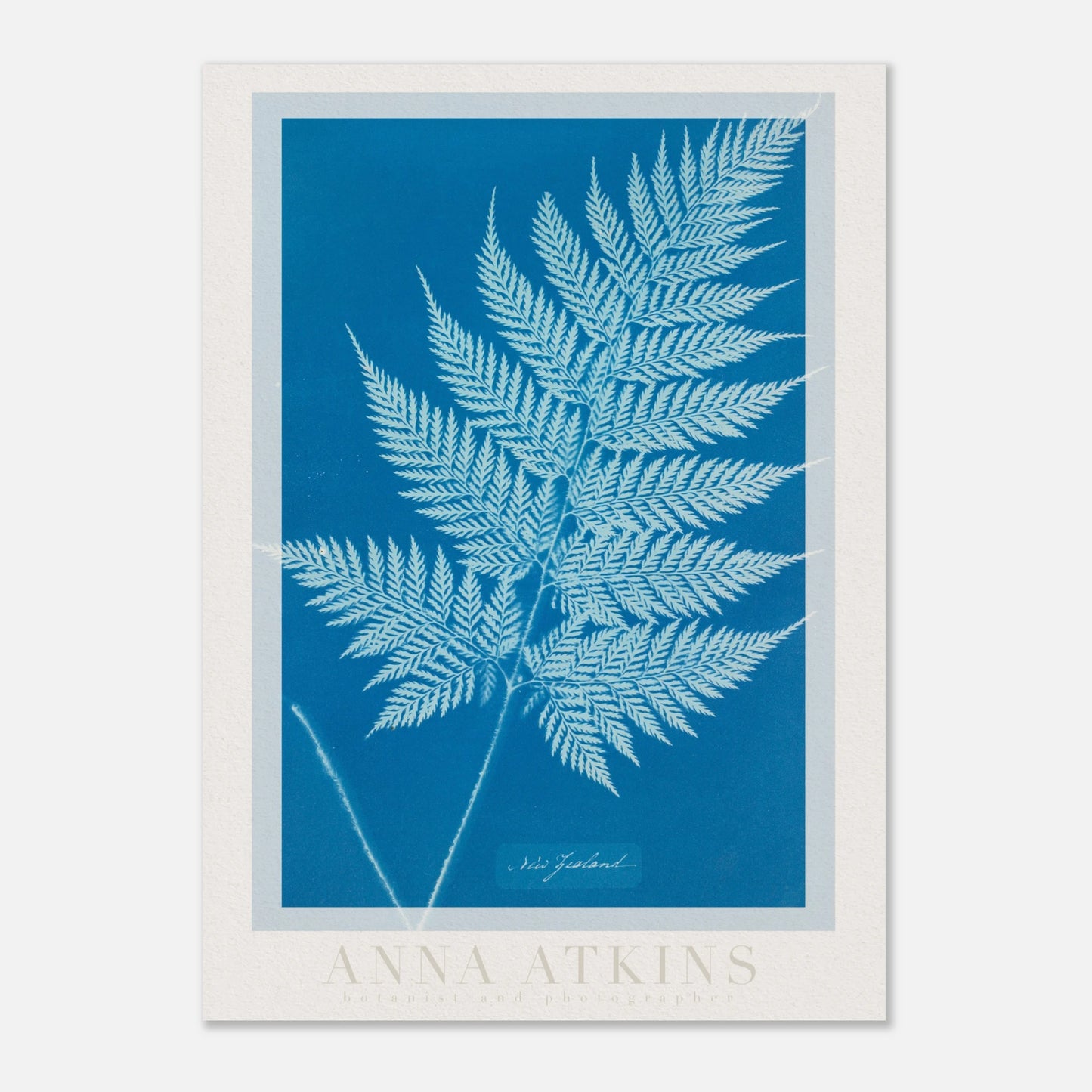 7cca0ba1-e45b-44be-8dd0-b3c8d9efbb97