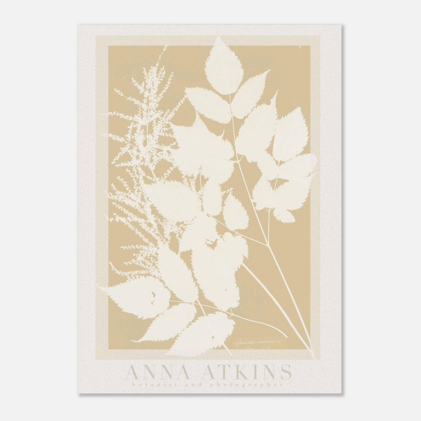 a1b9a1f9-f565-44a9-a0a1-fb9693bff913