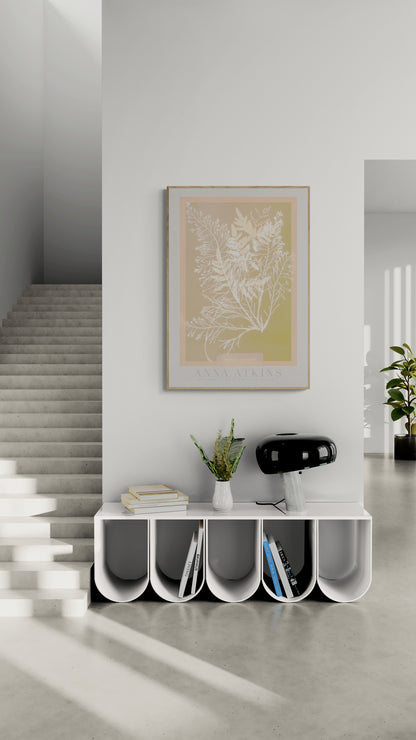 Anna Atkins - Botanical Cyanotypes IV