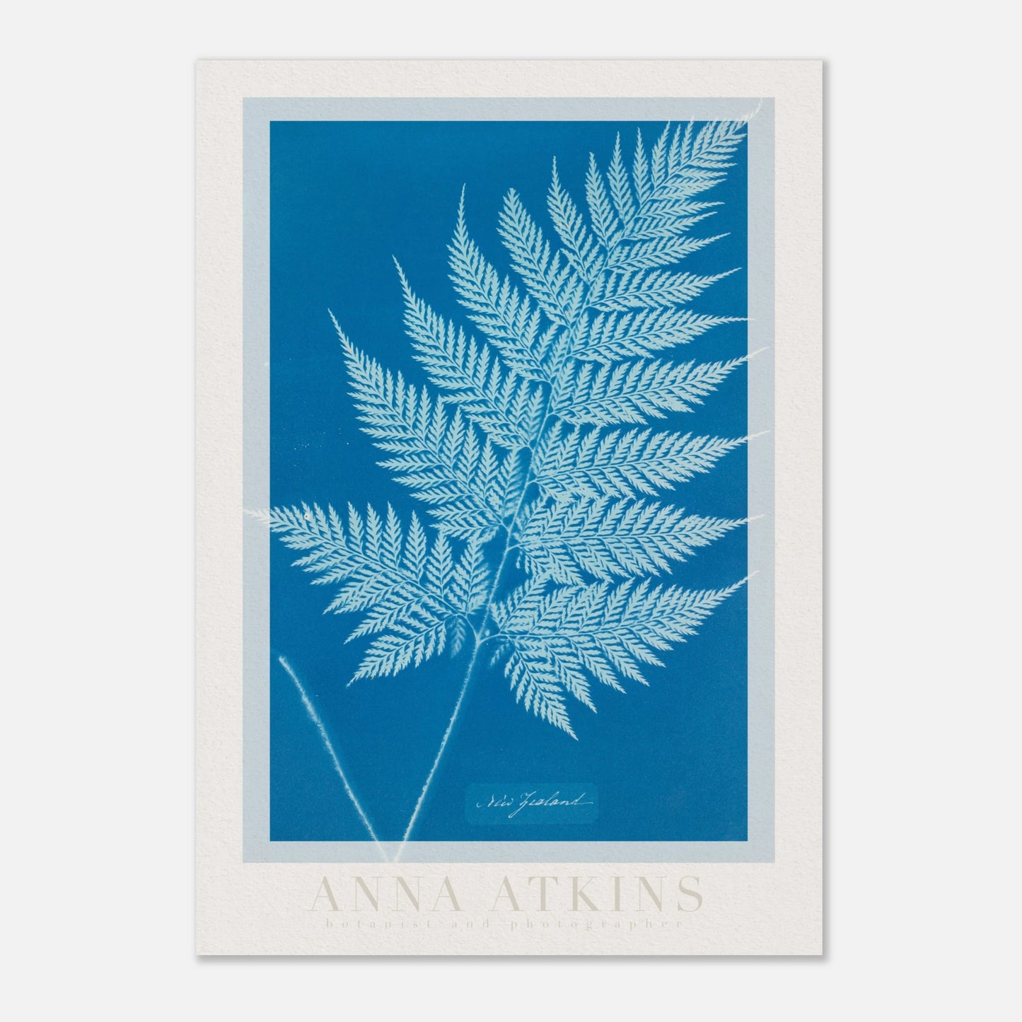 d6bba448-f7c6-4dbd-a3f0-243f7f95eb19