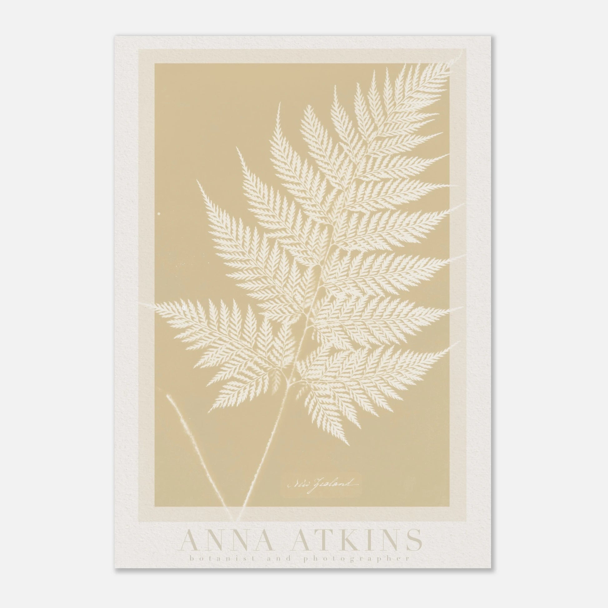 e31f7262-c96e-4453-bb3a-52f4c5beb166